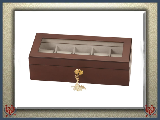 ADAM LOCKABLE WOODEN 5 WATCH BOX | Watch Boxes - Paul Martyn Interiors