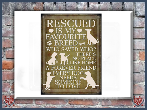 RESCUE DOG ~ METAL SIGN |  Wall Decor - Paul Martyn Interiors