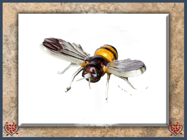 SILVER WING BEE (MEDIUM) | Decor - Paul Martyn Interiors