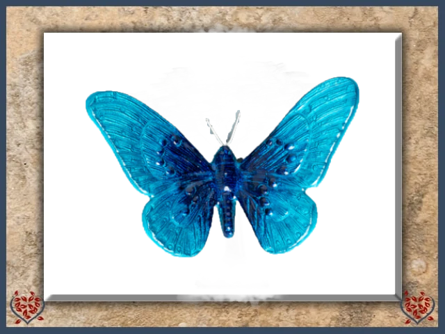 AQUA BUTTERFLY (LARGE) | Decor - Paul Martyn Interiors