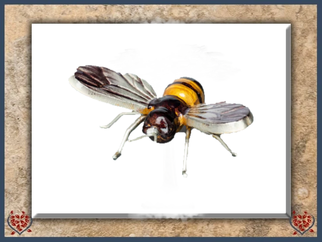 SILVER WING BEE (SMALL) | Decor - Paul Martyn Interiors
