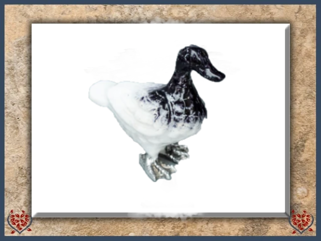 BRUSHED DUCK (SMALL) | Decor - Paul Martyn Interiors
