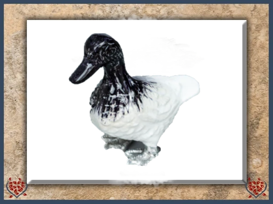 BRUSHED DUCK (LARGE) | Decor - Paul Martyn Interiors
