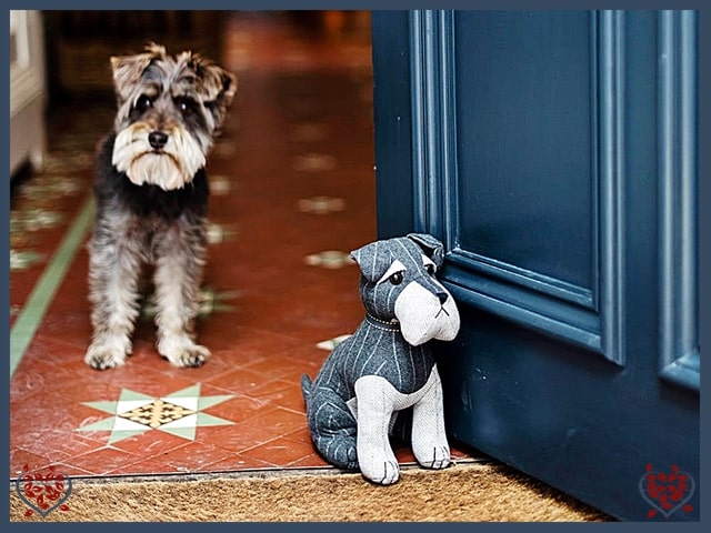 CHESTER SCHNAUZER DOORSTOP | Doorstops & Draught Excluders - Paul Martyn Interiors